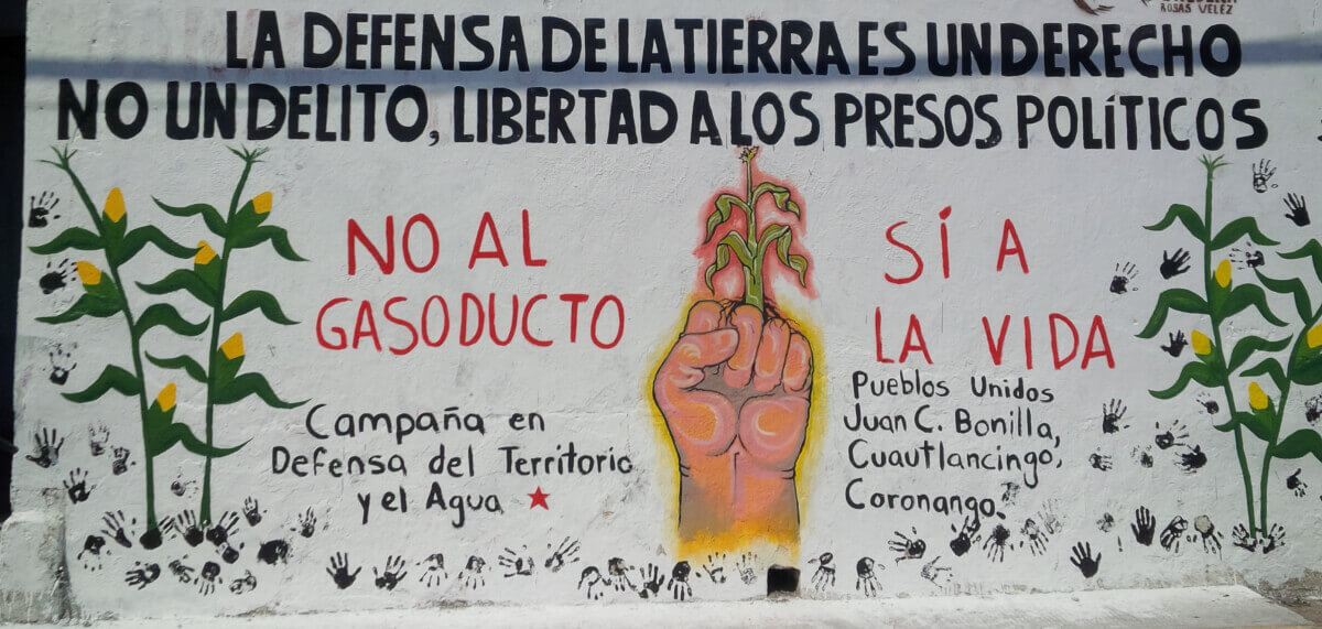 Indígenas de Guerrero, Oaxaca y Chiapas protestan contra el Proyecto Integral Morelos