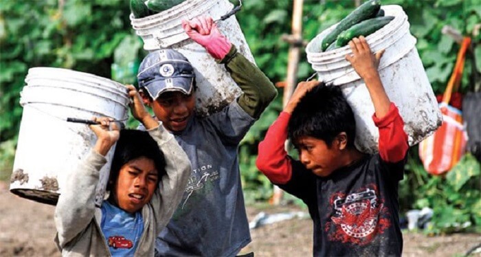 Trabajan 2 millones de niños en México, según organismos mundiales