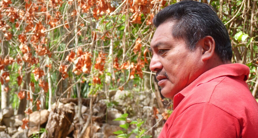 Red en Defensa del Maíz y Sección 22 repudian amenazas contra Pedro Uc y su familia 